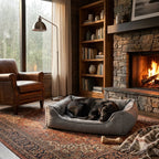 Dark gray bolster dog bed with raised sides and resting dark-coated dog