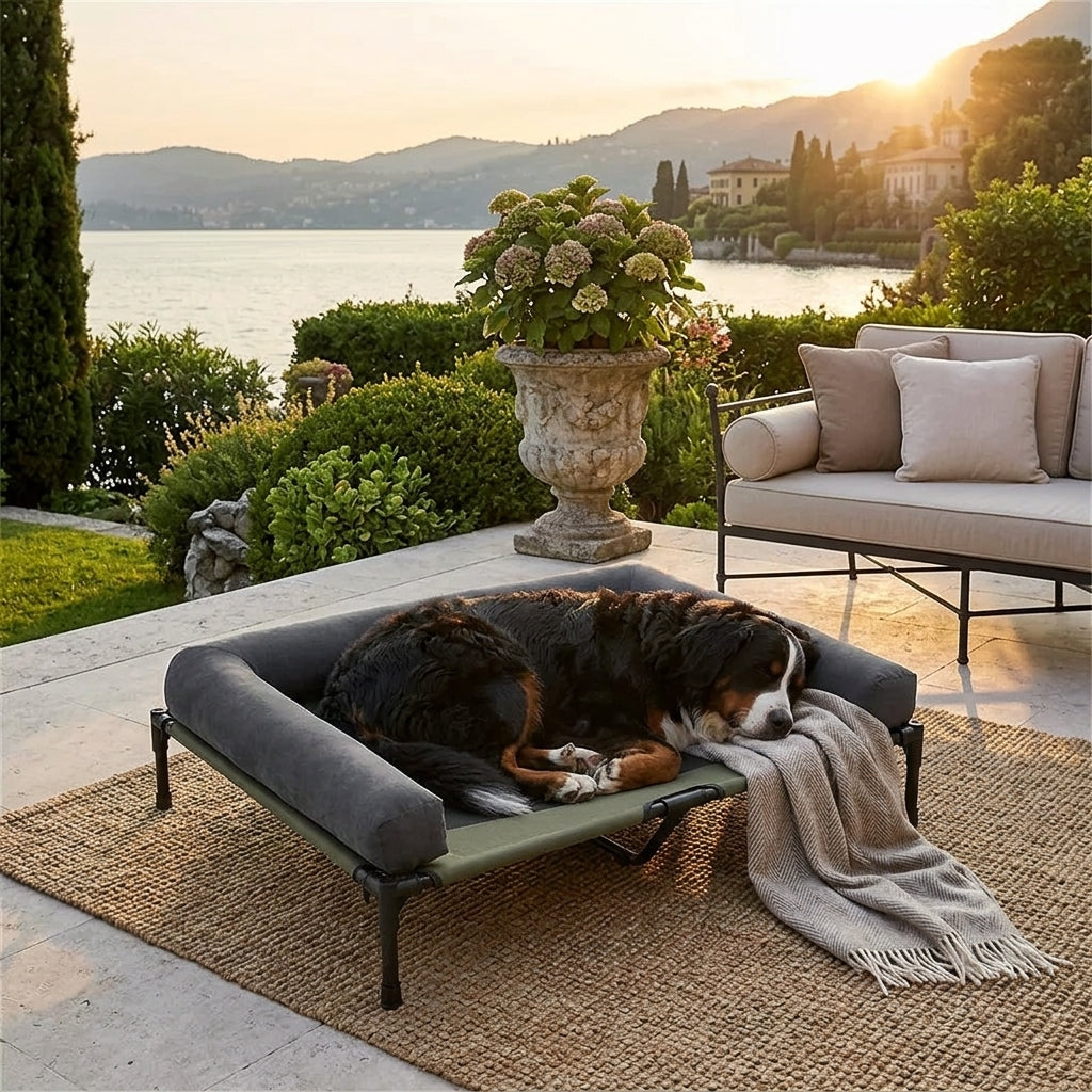 Elevated cooling dog bed with gray cushion; dark dog lying on raised cot outdoors