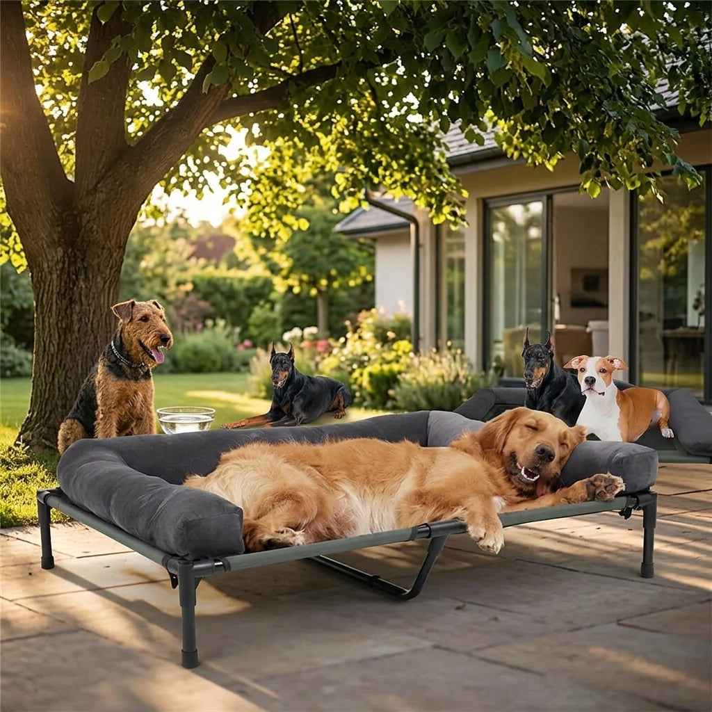 Raised dog cooling cot with gray bolsters and several dogs resting nearby.