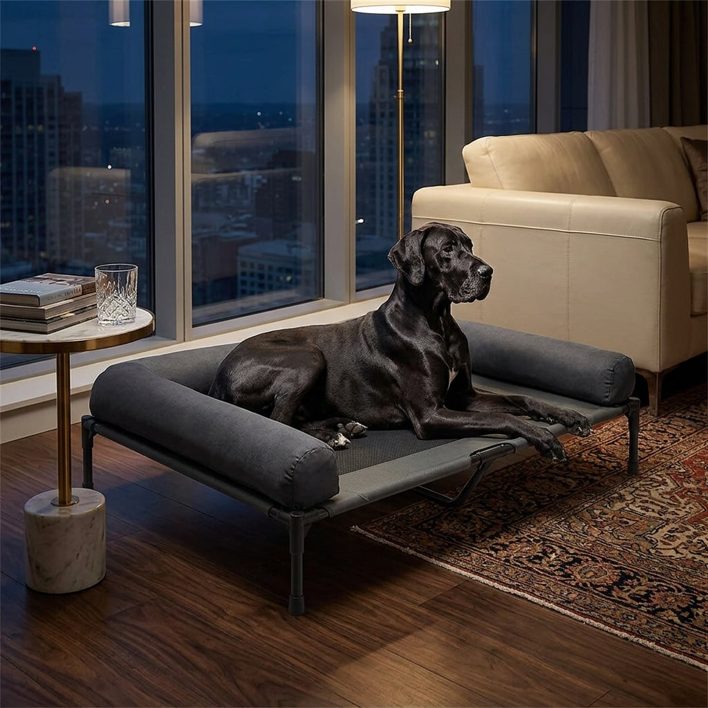 Elevated cooling dog bed with dark gray cushion; black dog resting indoors on raised cot