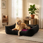 Wensleydale nesting pet bed with dark fabric walls and purple inner cushion, dog lounging