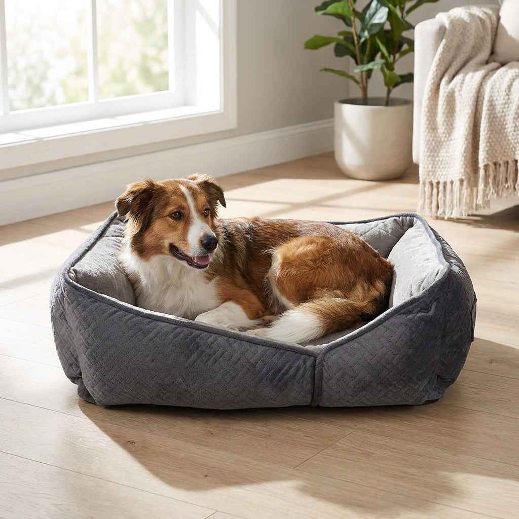 The Askrigg Flat Orthopaedic Dog Bed