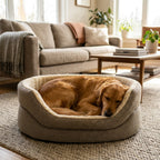 High-sided nest dog bed in gray fabric with plush rim, dog lying curled inside