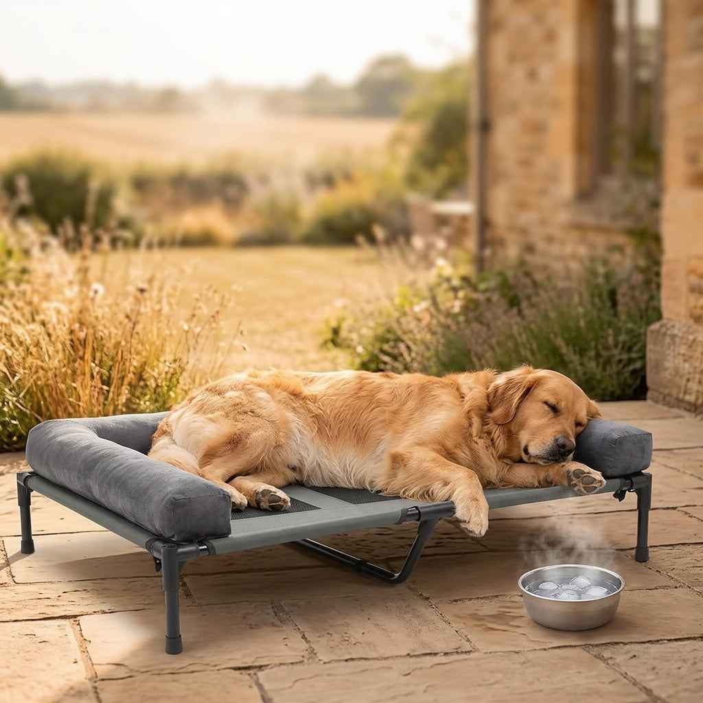 Gray padded raised dog cooling cot with sleeping golden retriever.