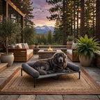 Elevated cooling dog bed with dark gray cushion; brown dog lounging on raised cot patio