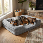 Gray raised-edge orthopaedic dog bed with plush cushion and bolstered sides, with two dogs.