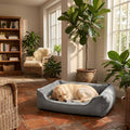 Gray bolster dog bed with raised sides and curled-up light tan dog