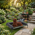 Elevated cooling dog bed with dark gray cushion; brown dog resting on raised cot