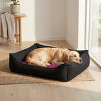 Wensleydale nesting pet bed in dark fabric with purple inner cushion, dog lying inside