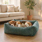Kendal green corduroy orthopaedic pet bed with raised edges, two dogs lying in it