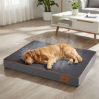 Orthopaedic memory foam dog mattress, rectangular dark base with orange-trimmed top