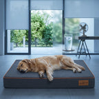 Orthopaedic memory foam dog mattress, blue-gray top and dark sides with orange edge trim