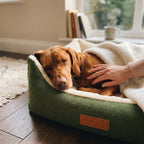 Green sherpa pet nest bed with brown dog resting on cream cushion and a hand petting