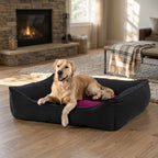 Wensleydale nesting pet bed with dark outer walls and purple cushion, dog lying stretched out
