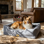 Gray bolster dog sofa bed with dog lying in the open, padded center