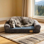Bolster sofa dog bed with blue insert and dark gray bolsters; gray dog lying down.