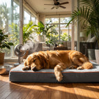 Orthopaedic memory foam dog mattress with blue-gray top, dark sides, and orange piping
