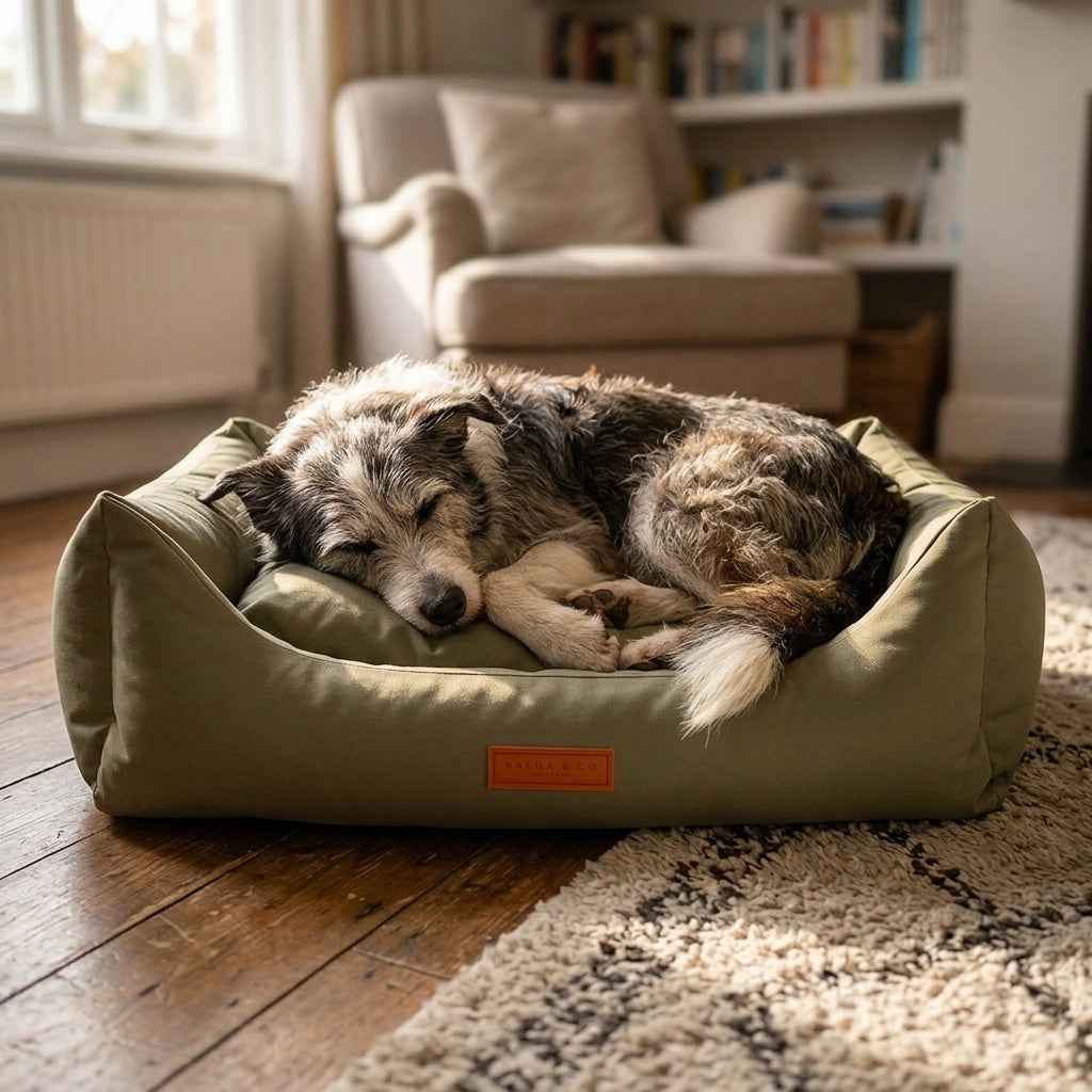 Olive waterproof dog nest bed with brown logo patch, scruffy dog resting inside