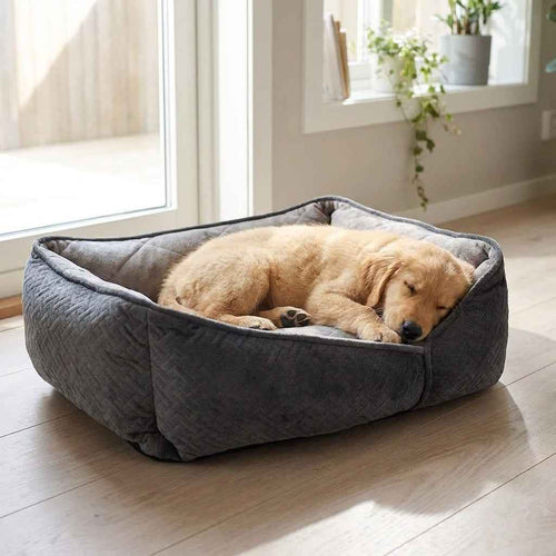 Gray flat orthopaedic dog bed with a tan dog resting inside