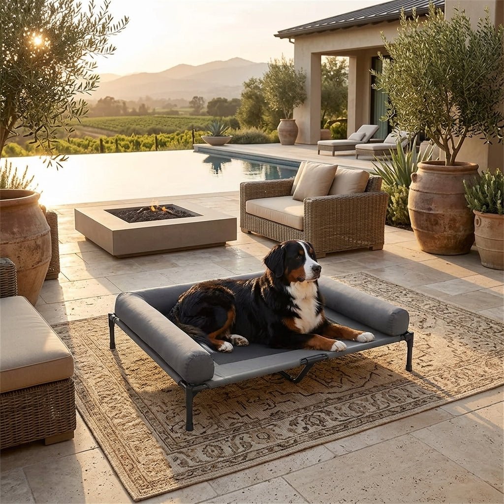 Elevated cooling dog bed with dark gray cushion; tricolor dog resting on raised cot by pool
