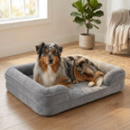 Gray orthopaedic dog bed with raised bolstered sides and plush cushion, with a lying dog.