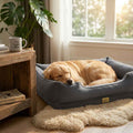 Gray bolster dog sofa bed with tan dog sleeping in the center cushion tray
