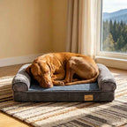 Bolster sofa dog bed with blue cushion and dark gray bolsters; orange dog sleeping.