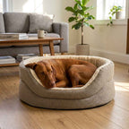 High-sided nest dog bed in gray fabric with light inner rim, dog resting inside