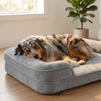 Gray raised-edge orthopaedic dog bed with plush cushion and raised side bolsters, with a sleeping dog.
