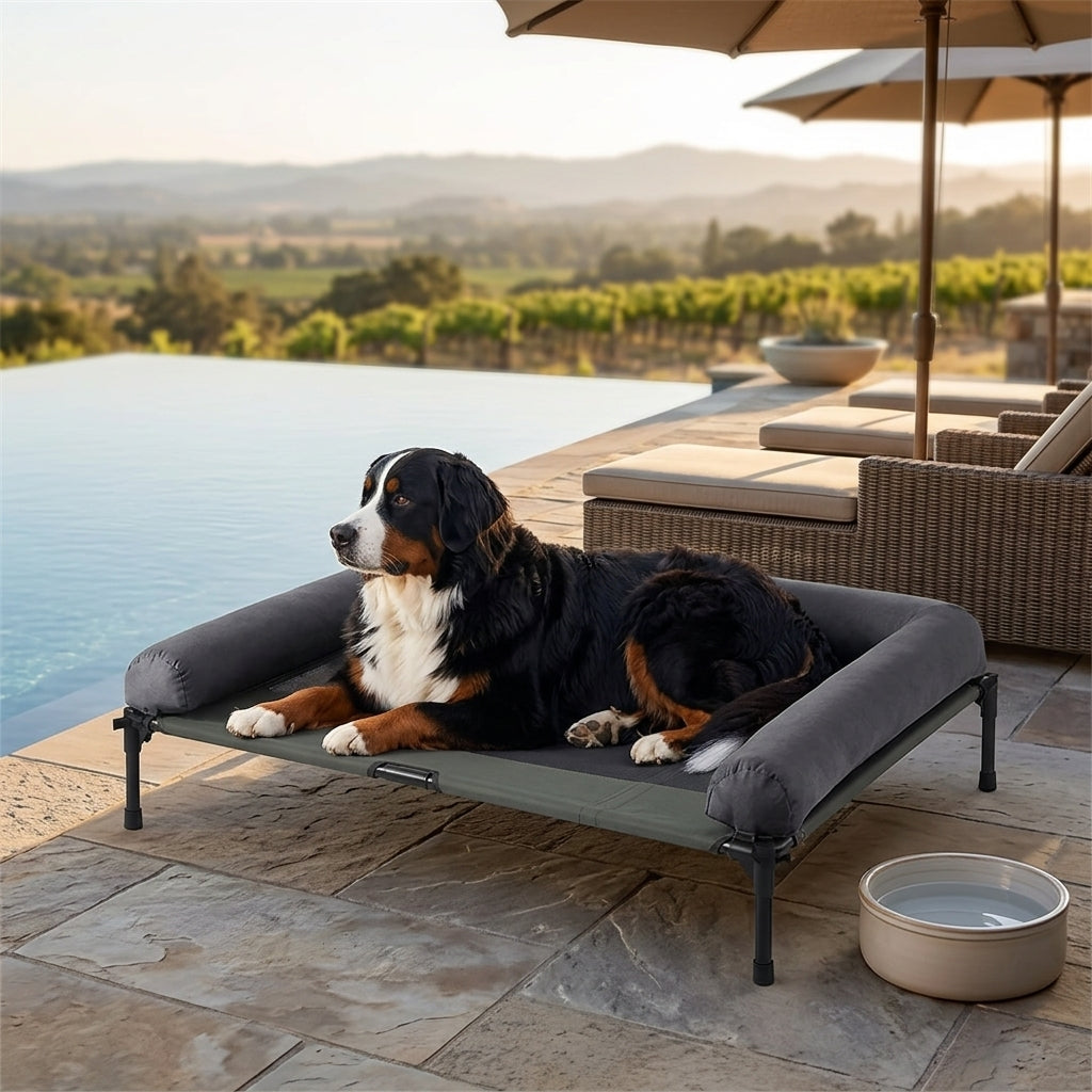 Elevated cooling dog bed with dark gray cushion; black-and-white dog lounging on patio