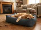 Memory foam dog bed with dark gray fabric cover and bolstered sides, with a lying dog.