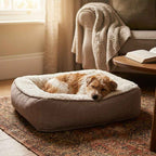 Taupe edge-to-edge dog mattress bed with raised sides, lying down on a rug
