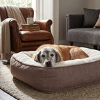 Taupe dog memory foam mattress bed with thick rim, pet resting on top
