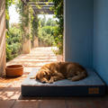 Orthopaedic memory foam dog mattress, dark gray sides and blue-gray top with orange piping
