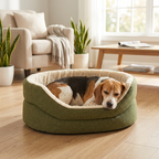 High-sided nest dog bed in green fabric with light inner rim, dog resting inside